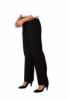 Picture of Ladies Pant Washable Utility